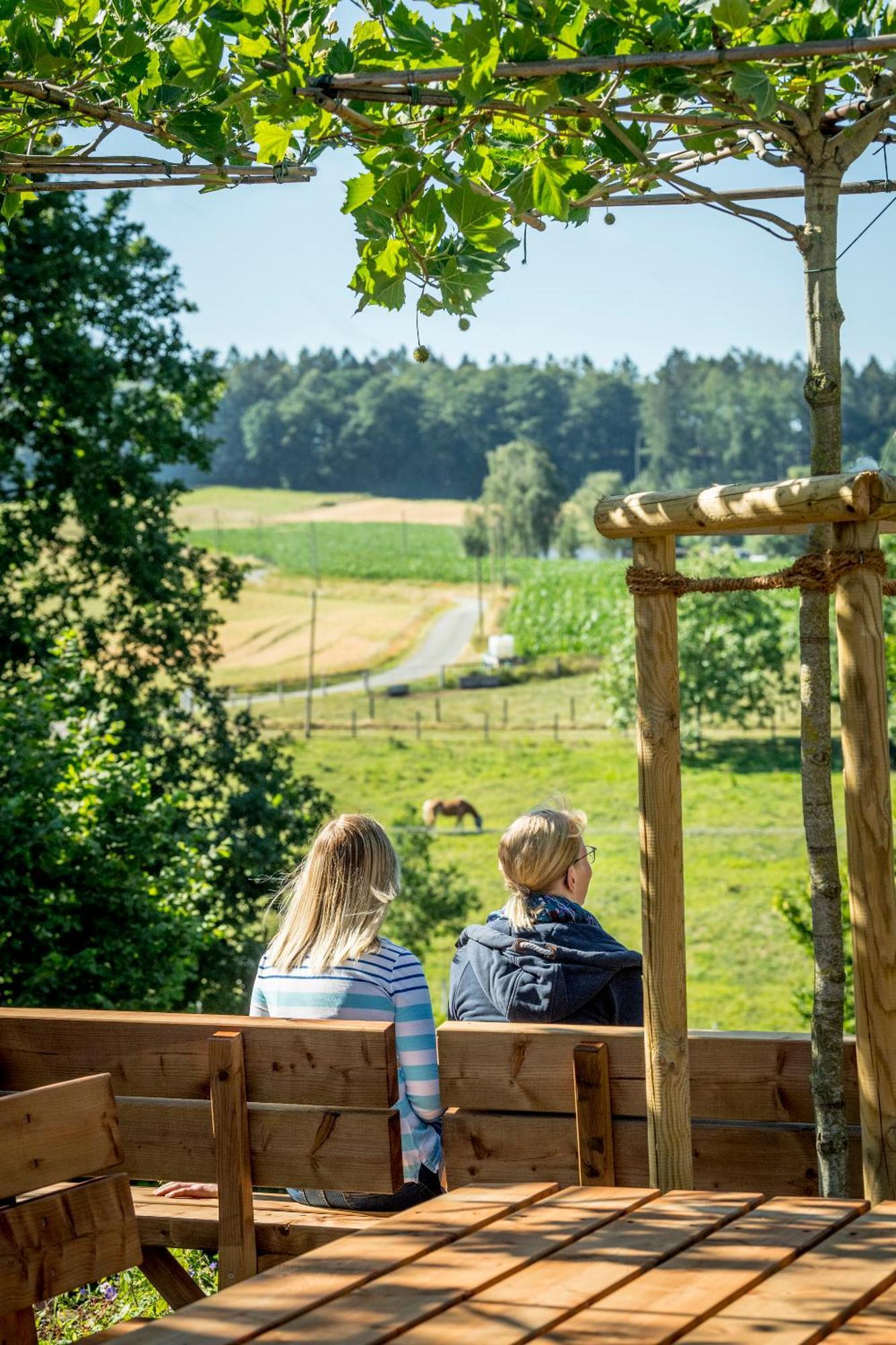 Landhotel Buller Hagen  Екстериор снимка
